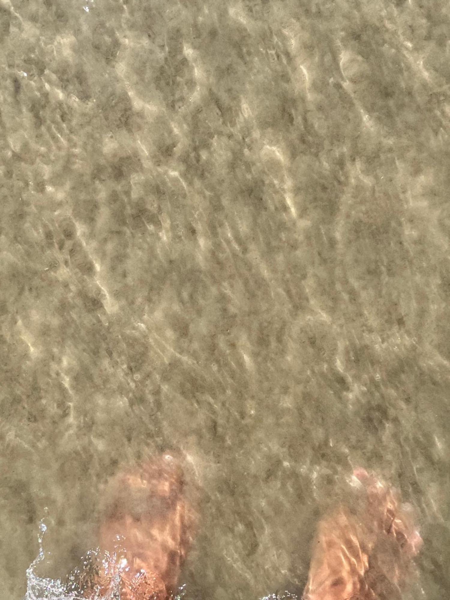Apto “Aconchego” Praia Da Enseada Guarujá Exterior foto